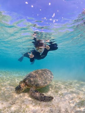 ちゃこたびに投稿された画像（2024/3/17）