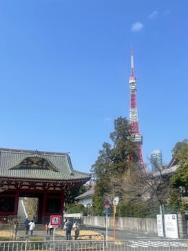 東京タワーに投稿された画像（2024/3/17）