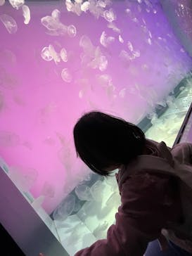 アクアワールド茨城県大洗水族館に投稿された画像（2024/3/17）