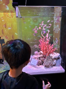 マクセル アクアパーク品川に投稿された画像（2024/3/17）