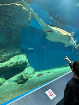 マクセル アクアパーク品川に投稿された画像（2024/3/17）