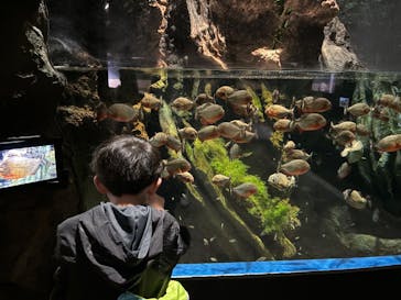 マクセル アクアパーク品川に投稿された画像（2024/3/17）