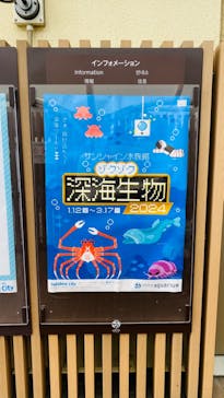 サンシャイン水族館に投稿された画像（2024/3/18）
