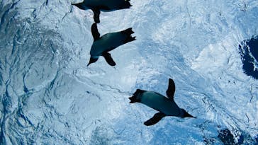 サンシャイン水族館に投稿された画像（2024/3/18）
