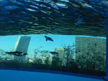 サンシャイン水族館に投稿された画像（2024/3/18）