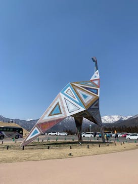 福井県立恐竜博物館に投稿された画像（2024/3/18）