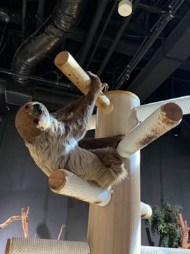 DMMかりゆし水族館に投稿された画像（2024/3/18）