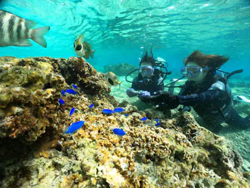 武藤潜水に投稿された画像（2024/3/18）