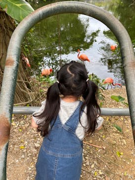 ネオパークオキナワに投稿された画像（2024/3/18）