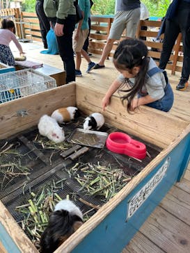 ネオパークオキナワに投稿された画像（2024/3/18）