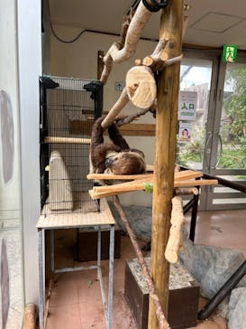 ネオパークオキナワに投稿された画像（2024/3/18）