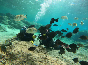 武藤潜水に投稿された画像（2024/3/18）