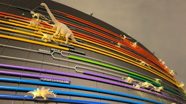 福井県立恐竜博物館に投稿された画像（2024/3/18）