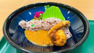 福井県立恐竜博物館に投稿された画像（2024/3/18）