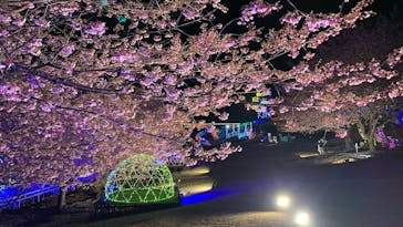 伊豆ぐらんぱる公園に投稿された画像（2024/3/18）