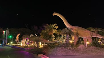 伊豆ぐらんぱる公園に投稿された画像（2024/3/18）