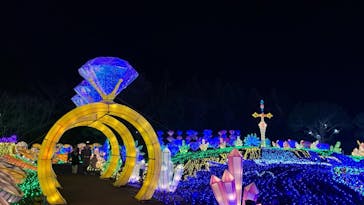 伊豆ぐらんぱる公園に投稿された画像（2024/3/18）