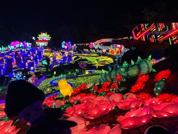 伊豆ぐらんぱる公園に投稿された画像（2024/3/18）