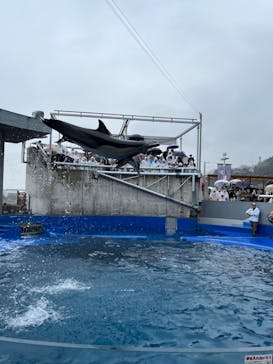 大分マリーンパレス水族館 「うみたまご」に投稿された画像（2024/3/18）