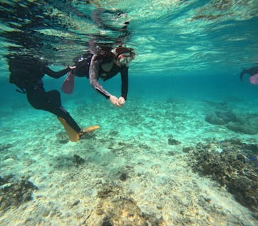 沖縄マリンサービス碧に投稿された画像（2024/3/18）