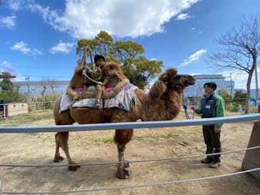 神戸どうぶつ王国に投稿された画像（2024/3/18）