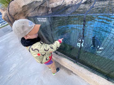 神戸どうぶつ王国に投稿された画像（2024/3/18）