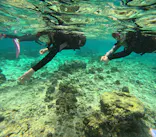 沖縄マリンサービス碧に投稿された画像（2024/3/18）