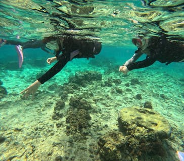 沖縄マリンサービス碧に投稿された画像（2024/3/18）