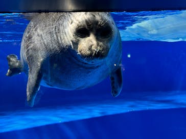 サンシャイン水族館に投稿された画像（2024/3/18）