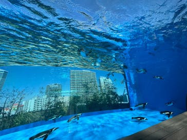 サンシャイン水族館に投稿された画像（2024/3/18）