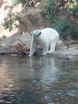 よこはま動物園ズーラシアに投稿された画像（2024/3/18）