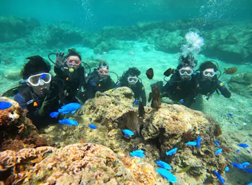 武藤潜水に投稿された画像（2024/3/18）