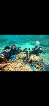 武藤潜水に投稿された画像（2024/3/18）