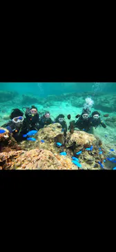 武藤潜水に投稿された画像（2024/3/18）