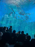 仙台うみの杜水族館に投稿された画像（2024/3/18）