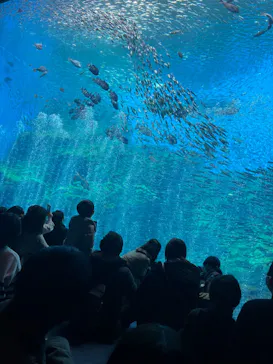 仙台うみの杜水族館に投稿された画像（2024/3/18）