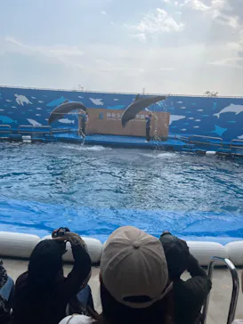 仙台うみの杜水族館に投稿された画像（2024/3/18）