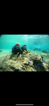 武藤潜水に投稿された画像（2024/3/18）