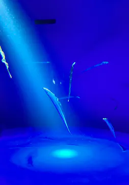 サンシャイン水族館に投稿された画像（2024/3/18）