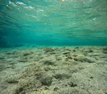 沖縄マリンサービス碧に投稿された画像（2024/3/18）