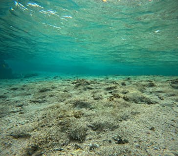 沖縄マリンサービス碧に投稿された画像（2024/3/18）