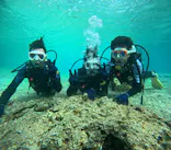 沖縄マリンサービス碧に投稿された画像（2024/3/18）