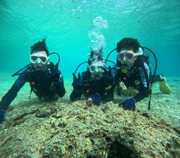 沖縄マリンサービス碧に投稿された画像（2024/3/18）