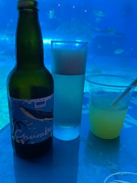 沖縄美ら海水族館に投稿された画像（2024/3/18）