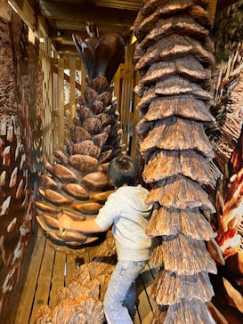 モビリティリゾートもてぎに投稿された画像（2024/3/18）