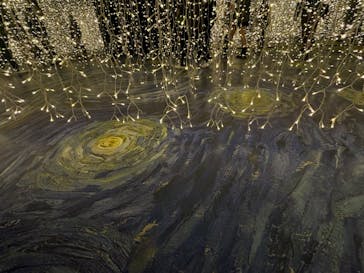 ゴッホ・アライブに投稿された画像（2024/3/18）