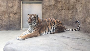 日立市かみね動物園に投稿された画像（2024/3/18）