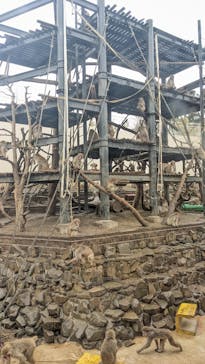 日立市かみね動物園に投稿された画像（2024/3/18）