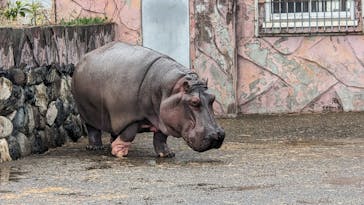日立市かみね動物園に投稿された画像（2024/3/18）