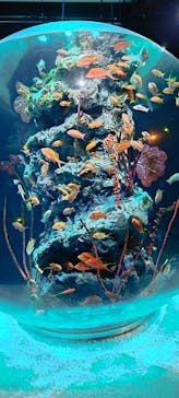 AQUARIUM × ART　atoaに投稿された画像（2024/3/18）